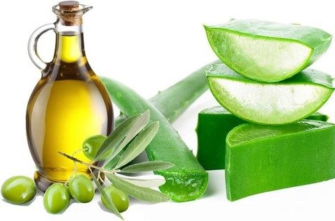 Manfaat body lotion herbal